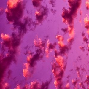 Meet your Posher, Bella